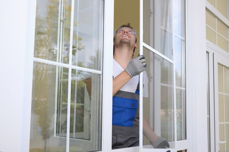 Professional Installing Windows